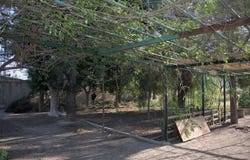 Redovan, Valencian Community 03300
