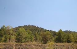 Pinoso, Valencia 03650