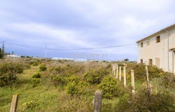 Sueca, Valencian Community