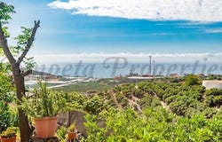 Lagos, Andalusia 29760