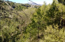 Penàguila, Valencian Community