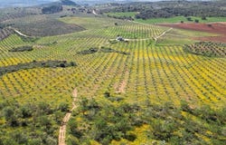 Archidona, Andalusia 29300