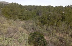 Relleu, Valencian Community