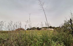Les Franqueses del Vallès, Catalonia 08520