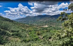 Salamanque, Castilla y León|Castille and Leon 37080