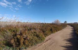 Santa Pola, Valencian Community