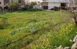 Lloseta, Balearic Islands 07360