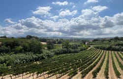 Pla del Penedès (El), Catalonia