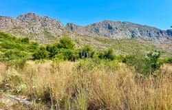 Alicante, Valencian Community 03778