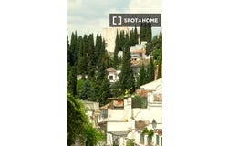 granada, Andalusia 18009