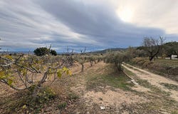 Onil, Valencian Community 03430