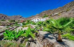 Santiago Del Teide, Tenerife