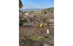 Castellví de Rosanes, Catalonia 08769