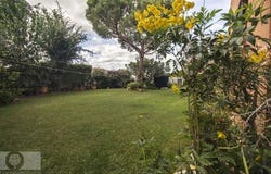 Cartaya, Cartaya