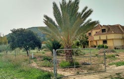 Aspe, Valencia 03680