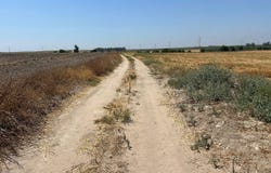 Utrera, Andalusia 41710