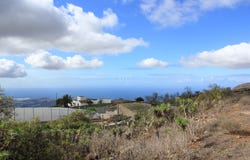 Santa Cruz de Tenerife, Canary Islands 38613