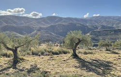 Padules, Andalusia 04458