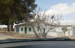 Yecla, Murcia 30510