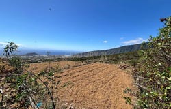 Arafo, Canary Islands