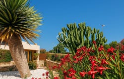 San Jose, Balearic Islands 07829