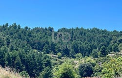 Castellón/Castelló, Valencian Community 12599