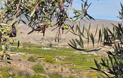 Illar, Andalusia 04431