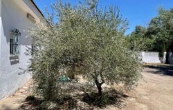 de la Sierra, JaÃ©n, JaÃ©n 23196
