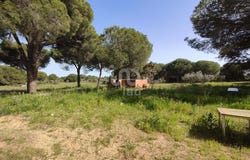 Huelva, Andalusia 21590