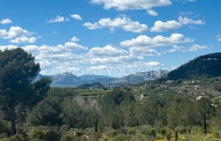 Dénia, Valencian Community 03749