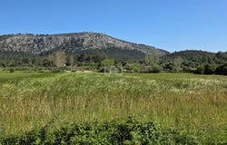 Balears (Illes), Balearic Islands 07460