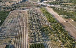 Vinaros, Valencian Community 12500