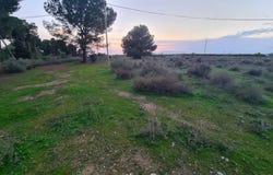 Lleida, Catalonia