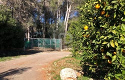Parcent, Valencia 03792
