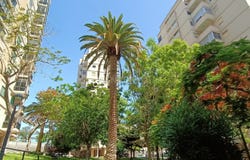 Santa Cruz de Tenerife, Canary Islands