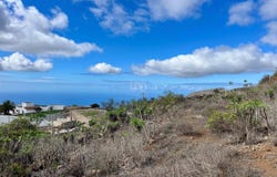 Santa Cruz de Tenerife, Canary Islands 38613