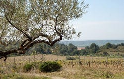 Garriguella, Girona