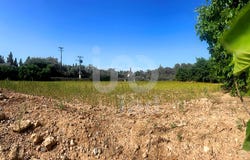 Tarragona, Catalonia 43800
