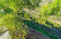 Frigiliana, Andalusia 29788