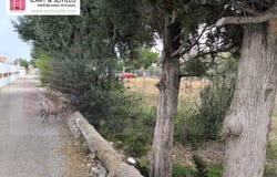 Vinaros, Valencian Community 12500
