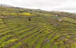 Adeje, Canary Islands