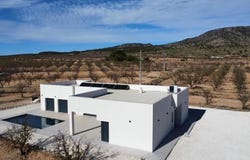 Pinoso, Alicante 03650