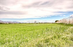 Alicante, Valencian Community 03349