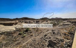 Arona, Canary Islands 38632