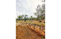 Tarragona, Catalonia 43746