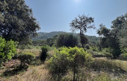 Sa Pobla, Balearic Islands 07420