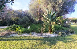 Ondara, Valencia 03760
