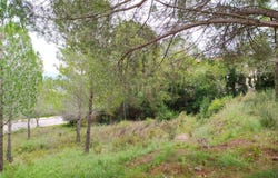 Sant Llorenç d'Hortons, Catalonia