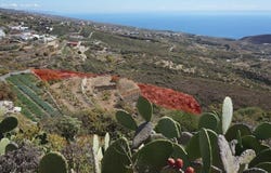 Fasnia, Canary Islands