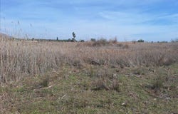 Puig, Valencian Community